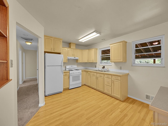 11350 Corona Dr, Northglenn, CO 80233 - photo 4