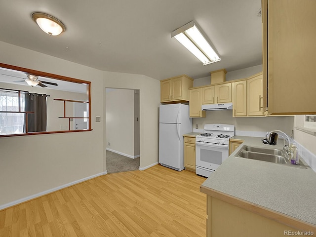 11350 Corona Dr, Northglenn, CO 80233 - photo 5