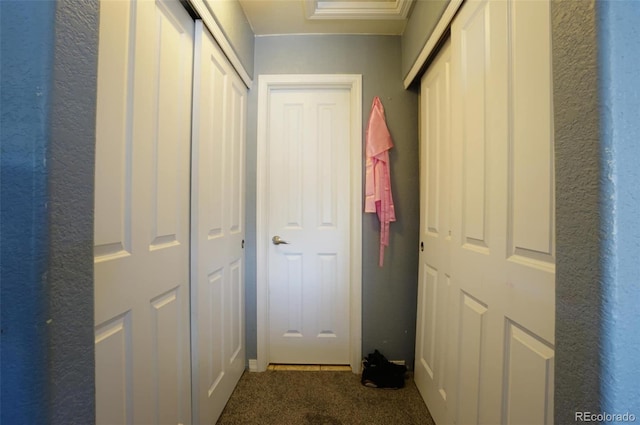 hallway featuring carpet floors