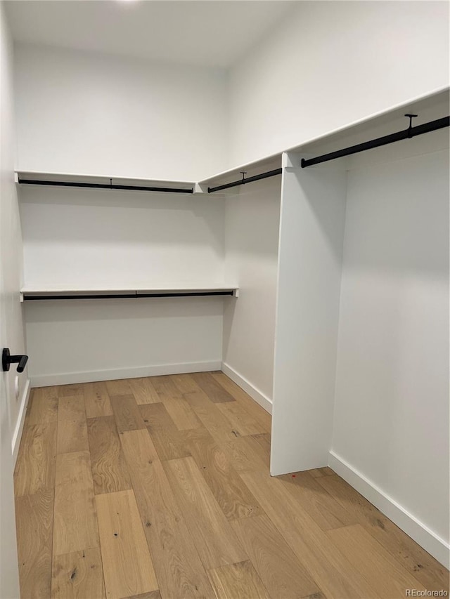 1601 Park Ave Unit 201, Denver, CO 80218 - walk in closet with light wood finished floors