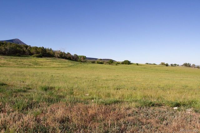 13010 Dry Gulch Rd, Paonia, CO 81428