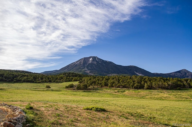 13010 Dry Gulch Rd, Paonia, CO 81428
