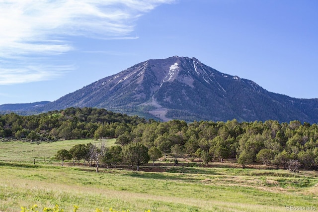 13010 Dry Gulch Rd, Paonia, CO 81428