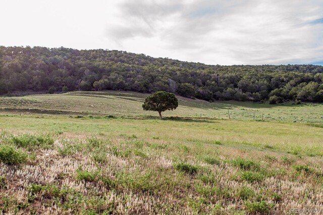 13010 Dry Gulch Rd, Paonia, CO 81428