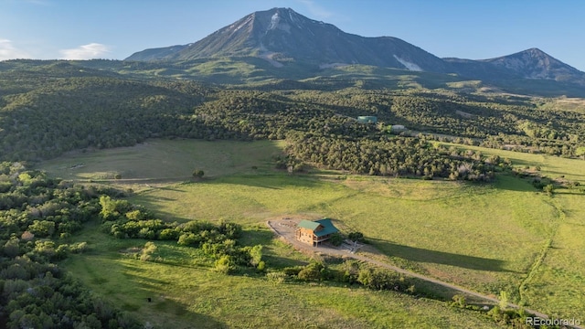 13010 Dry Gulch Rd, Paonia, CO 81428