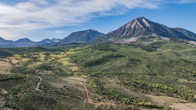 13010 Dry Gulch Rd, Paonia, CO 81428
