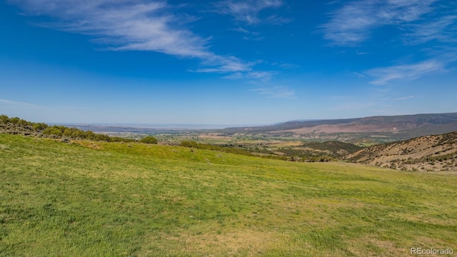13010 Dry Gulch Rd, Paonia, CO 81428