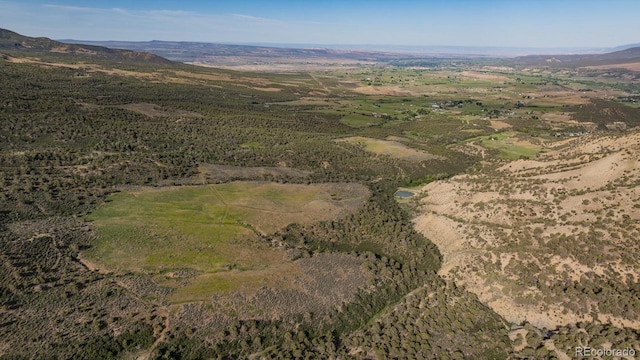 13010 Dry Gulch Rd, Paonia, CO 81428