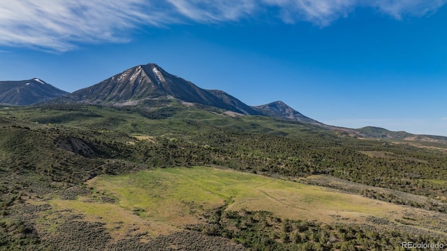 13010 Dry Gulch Rd, Paonia, CO 81428