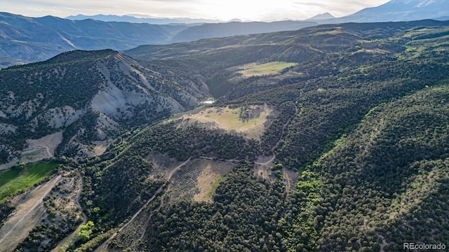 13010 Dry Gulch Rd, Paonia, CO 81428