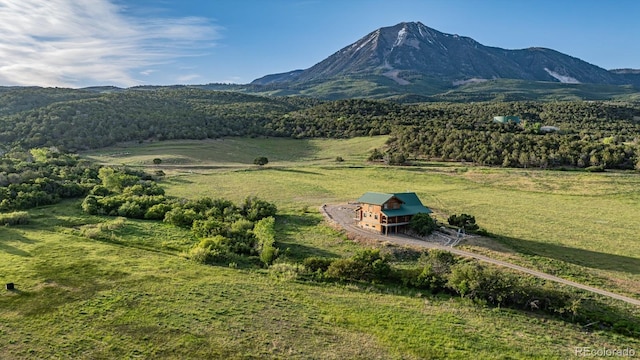 13010 Dry Gulch Rd, Paonia, CO 81428