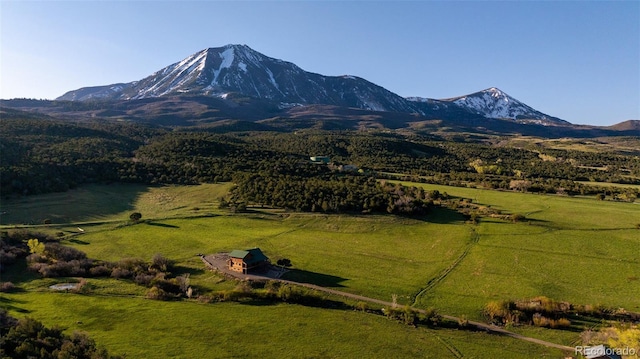 13010 Dry Gulch Rd, Paonia, CO 81428