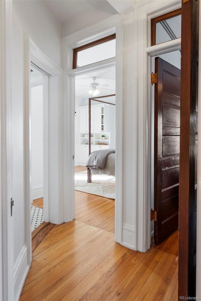 corridor featuring light hardwood / wood-style flooring