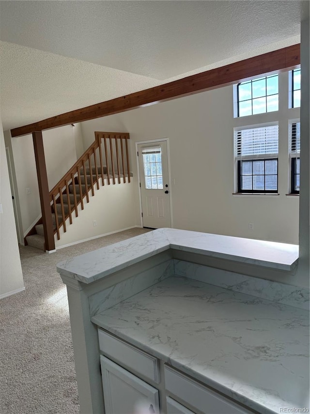 interior space with carpet and a textured ceiling