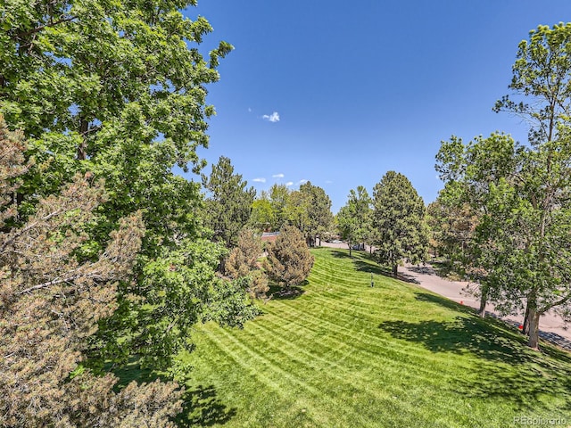 7755 E Quincy Ave Unit 301A7, Denver, CO 80237 - view of green lawn
