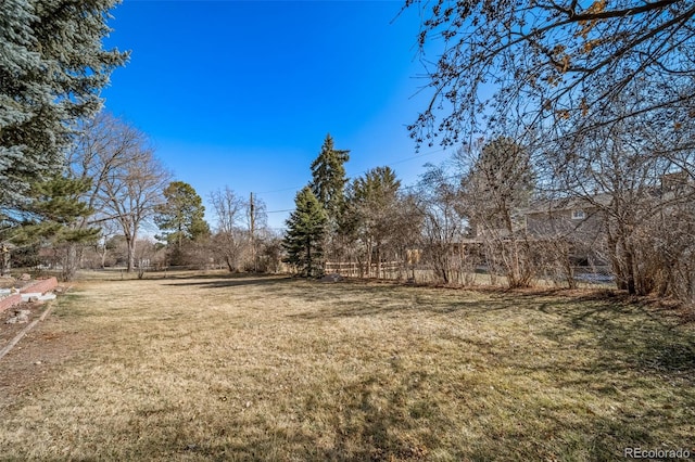5404 W Rowland Pl, Littleton, CO 80128 - view of yard