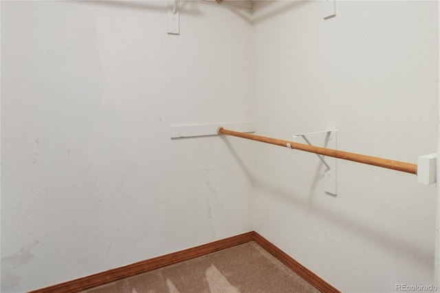 walk in closet with carpet
