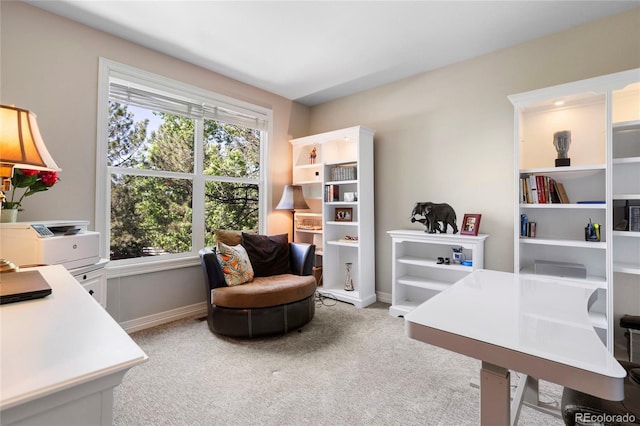 20234 E Lake Cir, Centennial, CO 80016 - photo 19