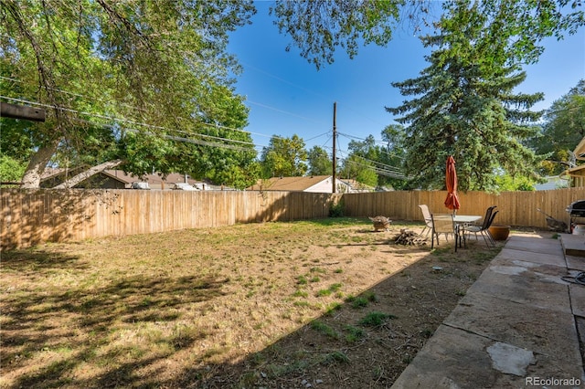 view of yard featuring a patio