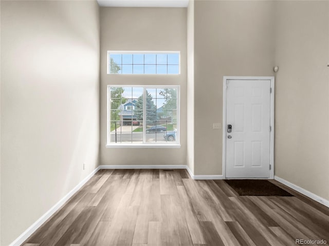 entrance foyer featuring hardwood / wood-style floors and a high ceiling