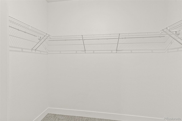 20665 E 57th Dr, Aurora, CO 80019 - view of spacious closet