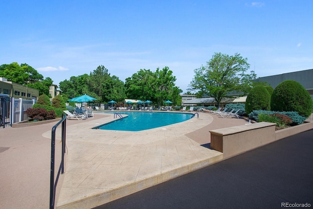 view of swimming pool with a patio area