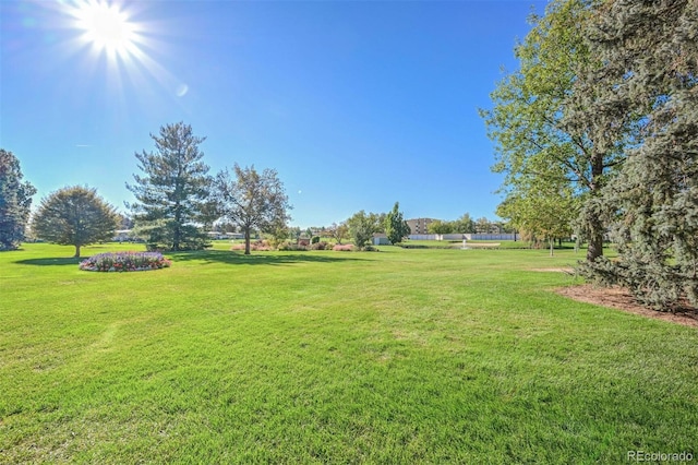 9340 E Center Ave Unit 8B, Denver, CO 80247 - view of green lawn