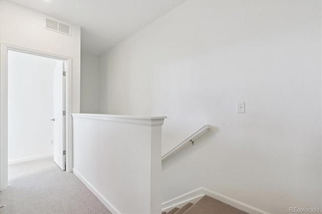 stairs featuring carpet floors