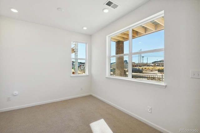 spare room featuring carpet flooring and plenty of natural light