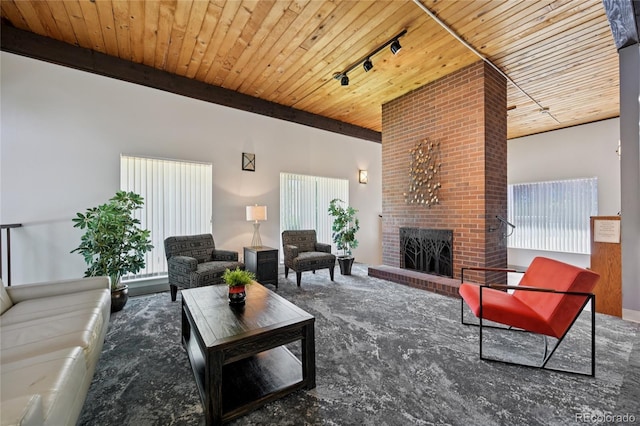 7020 E Girard Ave Unit 109, Denver, CO 80224 - living area with a brick fireplace, wooden ceiling, and rail lighting