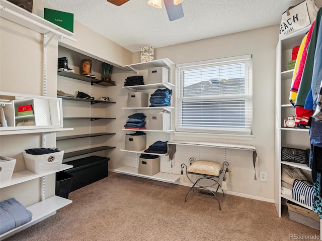 walk in closet with light carpet and ceiling fan