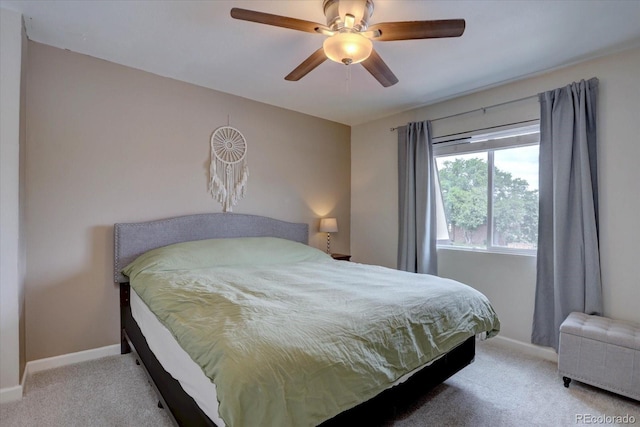5579 S Lowell Blvd, Littleton, CO 80123 - photo 13