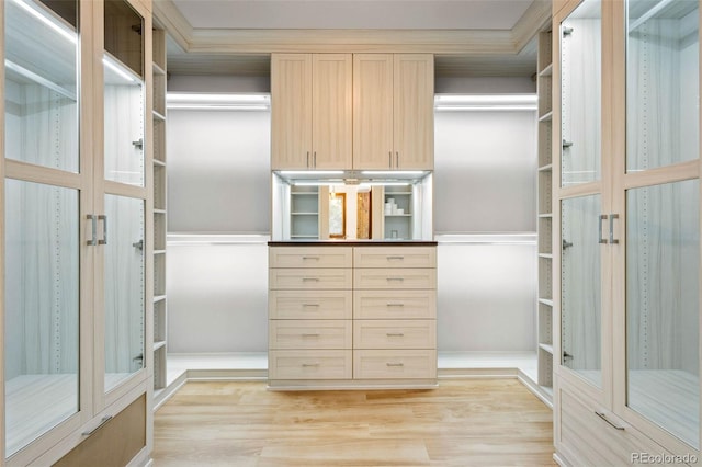 spacious closet with light hardwood / wood-style floors