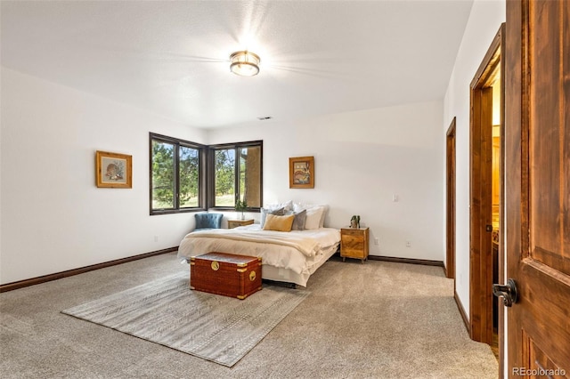 bedroom with carpet flooring