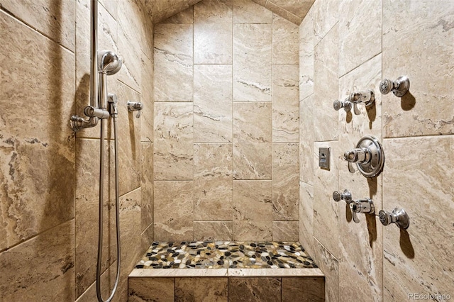 17675 State Highway 83, Colorado Springs, CO 80908 - bathroom featuring a tile shower