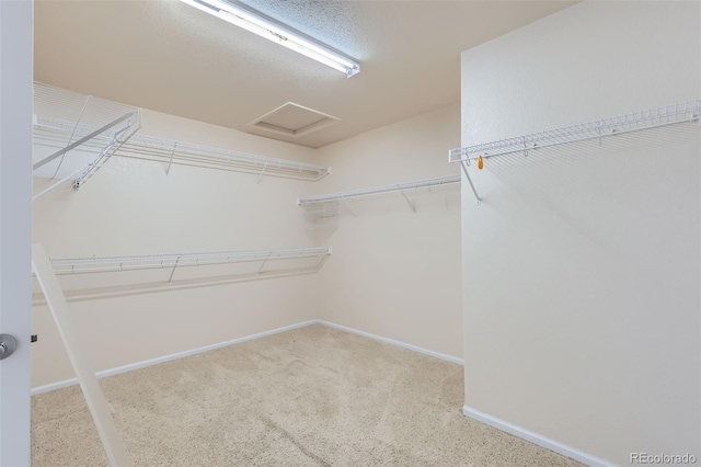 view of spacious closet