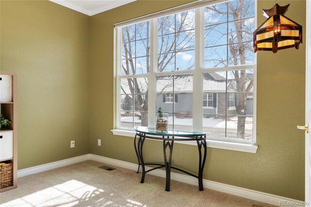 interior space with light carpet, plenty of natural light, and baseboards