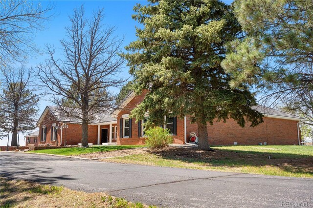 view of front of house with brick siding and a front yard