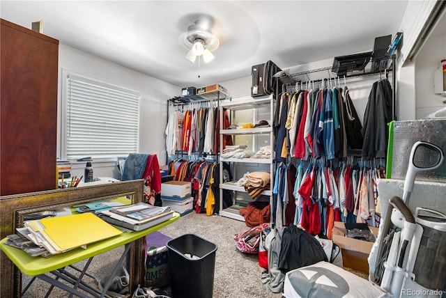 spacious closet with ceiling fan and carpet