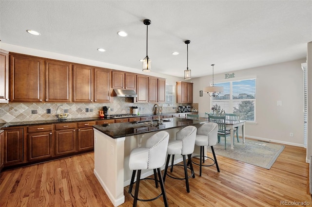 kitchen with sink, light hardwood / wood-style flooring, hanging light fixtures, an island with sink, and decorative backsplash