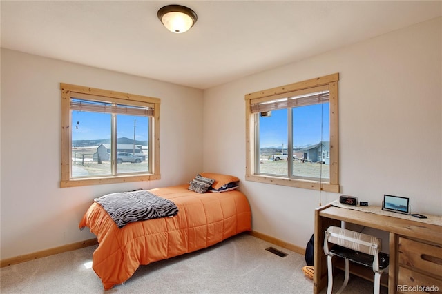 bedroom featuring a mountain view