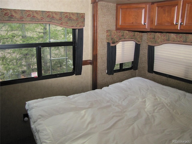 219 Pullman Loop, Hartsel, CO 80440