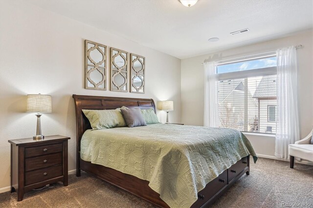 6332 Melvick Pt, Colorado Springs, CO 80927 - photo 19