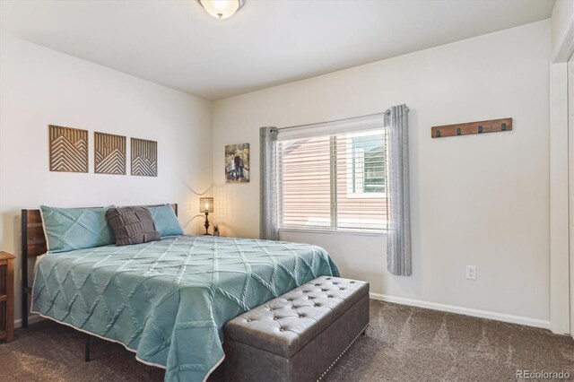 6332 Melvick Pt, Colorado Springs, CO 80927 - photo 27