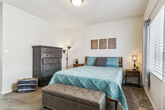 6332 Melvick Pt, Colorado Springs, CO 80927 - photo 28