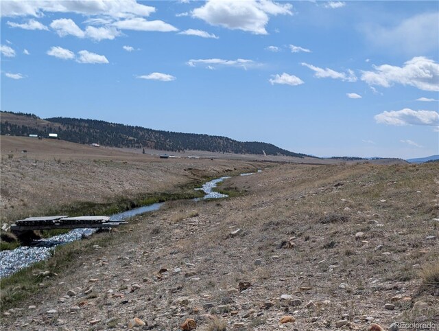 671 Badger Rd, Hartsel, CO 80449