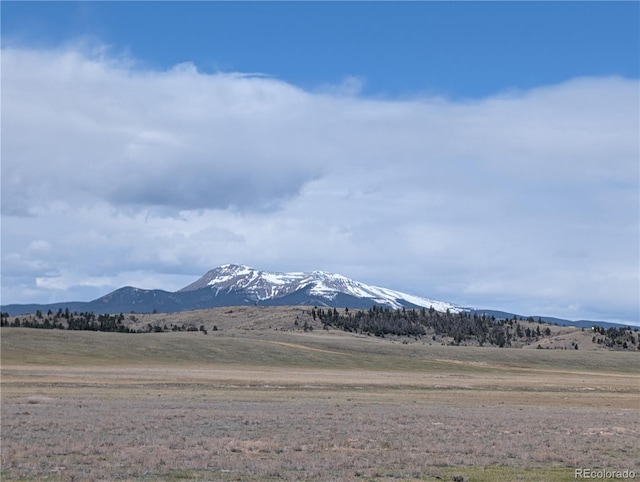 671 Badger Rd, Hartsel, CO 80449