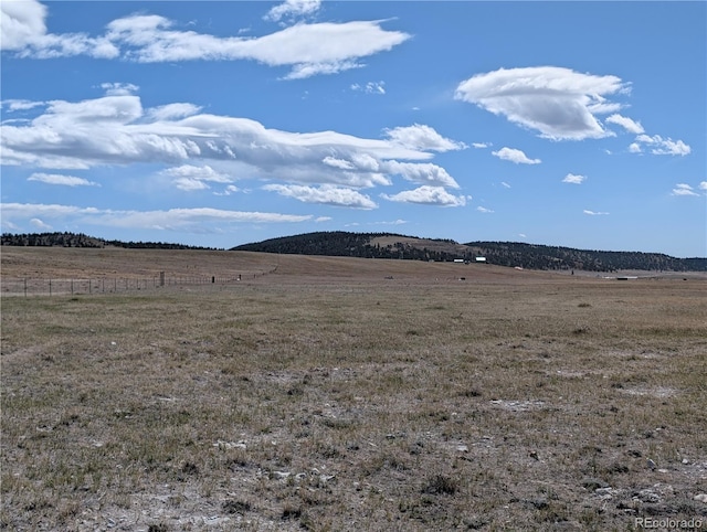 671 Badger Rd, Hartsel, CO 80449