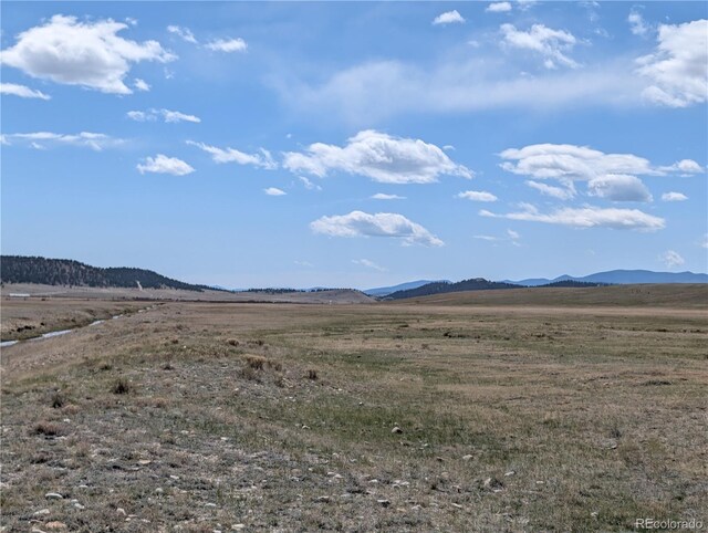 671 Badger Rd, Hartsel, CO 80449