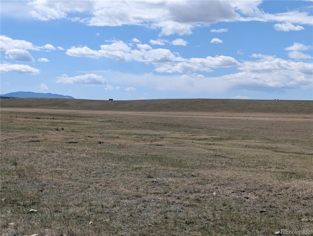 671 Badger Rd, Hartsel, CO 80449
